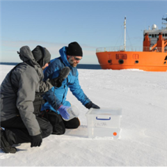 Vignette illustrant cette actualité