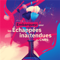 Vignette illustrant cette actualité