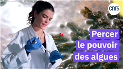 Vignette illustrant cette actualité