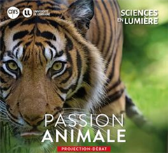 Vignette illustrant cette actualité