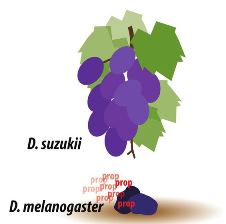 Vignette illustrant cette actualité