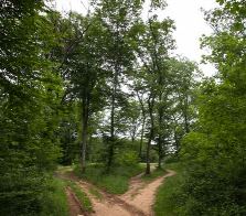 Vignette illustrant cette actualité