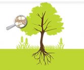 Vignette illustrant cette actualité