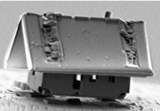 Vignette illustrant cette actualité