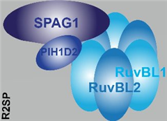 Vignette illustrant cette actualité