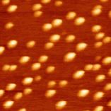 Vignette illustrant cette actualité