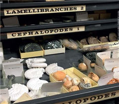 Vignette illustrant cette actualité