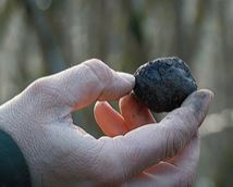 Vignette illustrant cette actualité