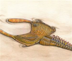 Vignette illustrant cette actualité