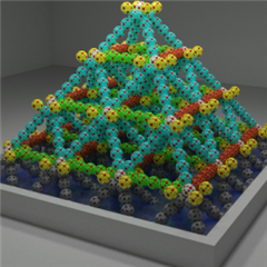 Vignette illustrant cette actualité