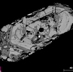 Vignette illustrant cette actualité