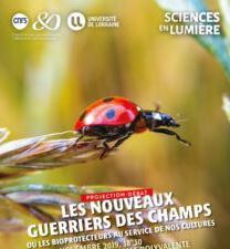 Vignette illustrant cette actualité