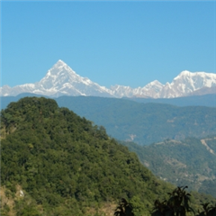 Vignette illustrant cette actualité