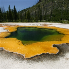 Vignette illustrant cette actualité