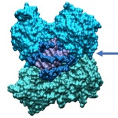 Vignette illustrant cette actualité