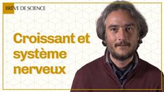 Vignette illustrant cette actualité