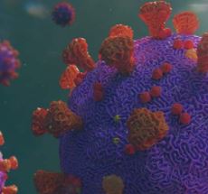 Vignette illustrant cette actualité