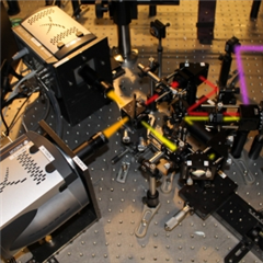 Vignette illustrant cette actualité