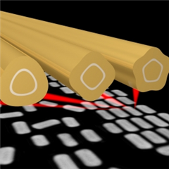 Vignette illustrant cette actualité