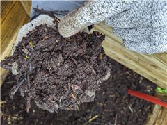 Vignette illustrant cette actualité