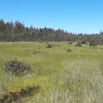 Vignette illustrant cette actualité