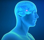 Vignette illustrant cette actualité