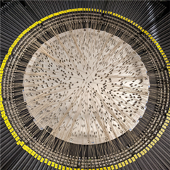 Vignette illustrant cette actualité