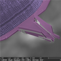 Vignette illustrant cette actualité