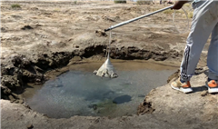 Vignette illustrant cette actualité