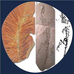 Vignette illustrant cette actualité