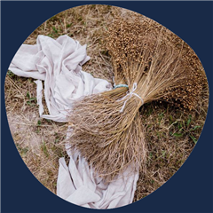 Vignette illustrant cette actualité