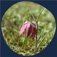 Vignette illustrant cette actualité