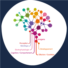 Vignette illustrant cette actualité