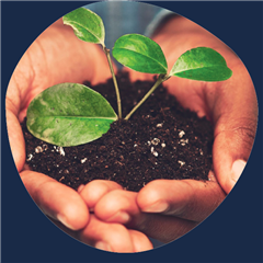 Vignette illustrant cette actualité