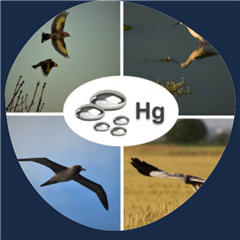 Vignette illustrant cette actualité