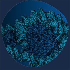 Vignette illustrant cette actualité