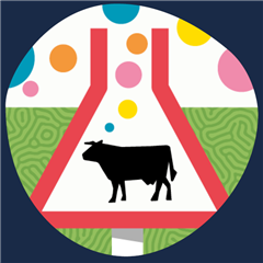 Vignette illustrant cette actualité