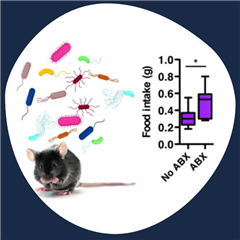 Vignette illustrant cette actualité