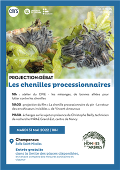 Vignette illustrant cette actualité