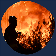 Vignette illustrant cette actualité