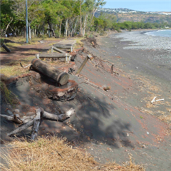 Vignette illustrant cette actualité