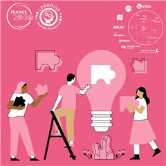 Vignette illustrant cette actualité