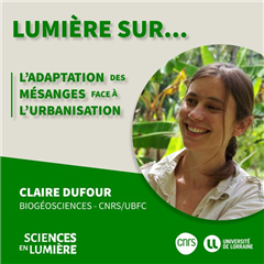 Vignette illustrant cette actualité