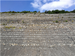 Vignette illustrant cette actualité