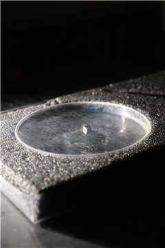 Vignette illustrant cette actualité