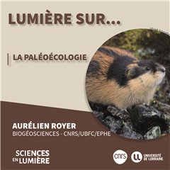 Vignette illustrant cette actualité