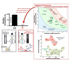 Vignette illustrant cette actualité