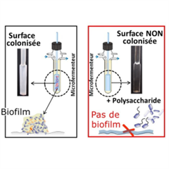 Vignette illustrant cette actualité