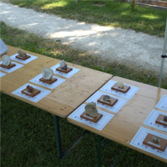 Vignette illustrant cette actualité