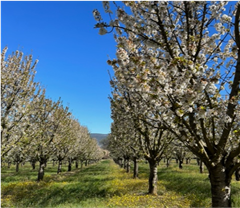 Vignette illustrant cette actualité
